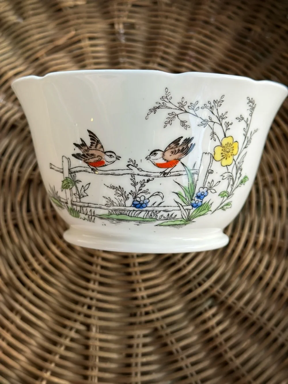 Vintage English Bone China Tea Bowl Saucer Bird Cottagecore Gold Trim